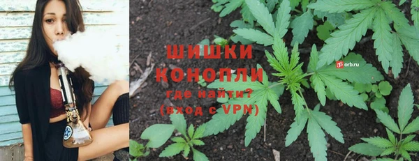 СК Козельск