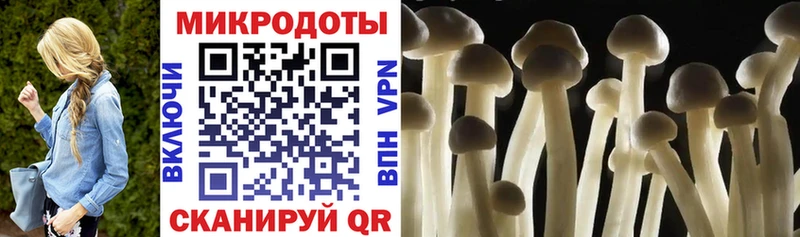 Псилоцибиновые грибы Magic Shrooms  Купить где  Клин 